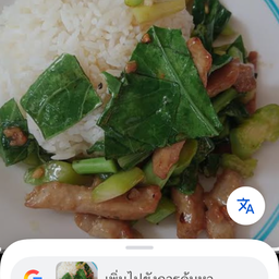 คะน้าหมูราดข้าว