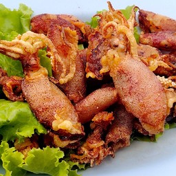 ปลาหมึกกระตอยทอด