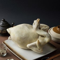 ไก่ไทย (1 ตัว)