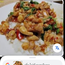 กระเพราไก่ราดข้าว