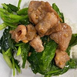 ข้าวราดผัดคะน้าหมูทอด