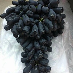 องุ่นดำแม่มดเกรดพรีเมี่ยม