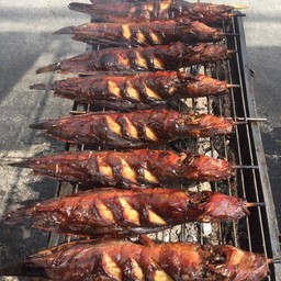 ปลาดุกย่าง