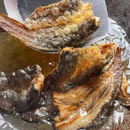 ปลาดุกแดดเดียว ทอด 1 ตัว