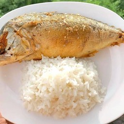 ข้าว ปลาทู ทอด 1 ตัว