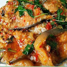 ผัดเผ็ดปลาดุกสด