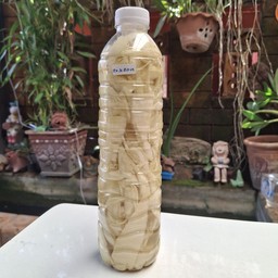 หน่อหวานดอง