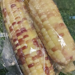 ข้าวโพดข้าวเหนียวต้ม