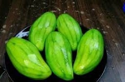 มะม่วงบ๊วย