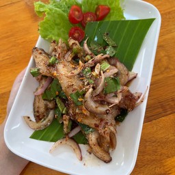 น้ำตกคอหมูย่าง