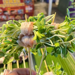 ต้นอ่อนทานตะวัน