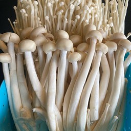 ชุดเห็ด