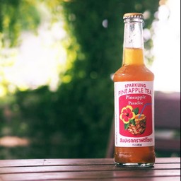ไพน์แอปเปิ้ลพาราไดซ์ไอซท์ทีคราฟท์โซดา