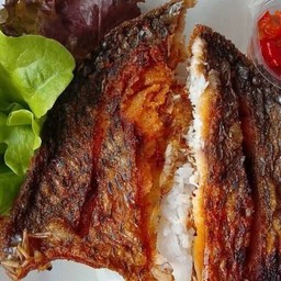 ร้านตำแหลกผัดกระจาย หนองปรือ