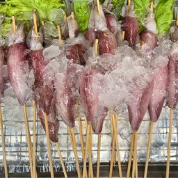 หมึกไข่ (ตัวใหญ่ )