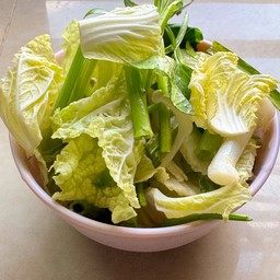 ผักกาดขาว