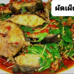 ผัดเผ็ดปลาดุกสด(กับข้าว)