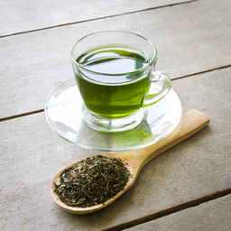 Green Tea Hot (No Milk)