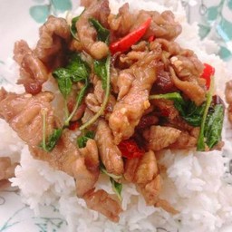 ผัดกระเพราหมูชิ้นราดข้าว