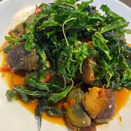 กะเพราไข่เยี่ยวม้า