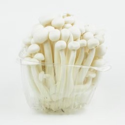 เห็ดชิเมจิขาว