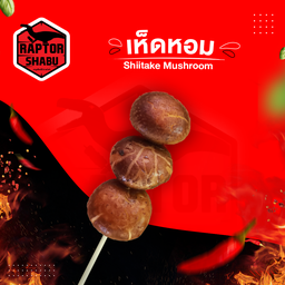 เห็ดหอม Shiitake Mushroom