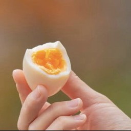 ไข่ต้ม 1 ฟอง