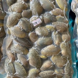 หอยลายฟรีส1kg.