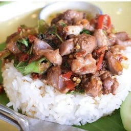 กะเพราเครื่องในไก่ราดข้าว