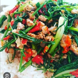 ข้าวราดผัดผักชีลาวใส่หมู