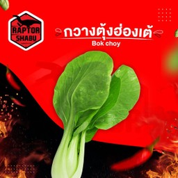กวางตุ้งฮ่องเต้ Bok Choy