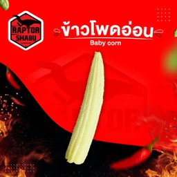 ข้าวโพดอ่อน BABY CORN