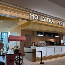 Molly Tea Central Park