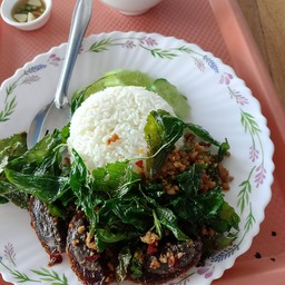 ข้าว ไข่เยี่ยวม้ากะเพรากรอบ