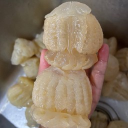 กระพรุนหัวกระสุนจืดลวก ชุด 3 ตัว