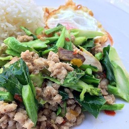 ผัดคะน้าหมูสับปลาเค็ม