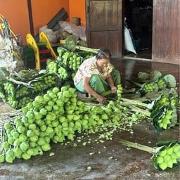 นาบัวลุงแจ่ม