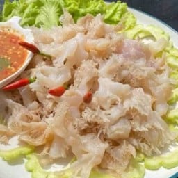 แมงกะพรุน海蜇
