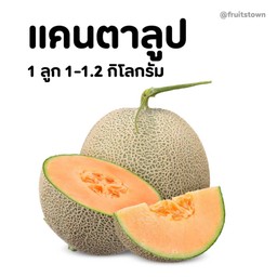 แคนตาลูป 1 ลูก