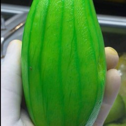 มะม่วงบ๊วย