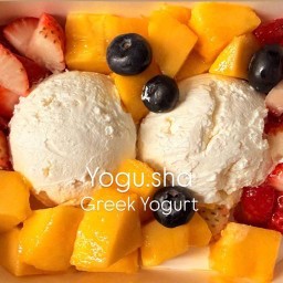 Yogu-sha กรีกโยเกิร์ตโฮมเมด100%