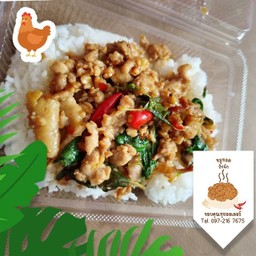 ข้าวกะเพราไก่