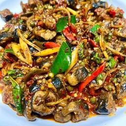 ผัดเผ็ดปลาไหล(กับข้าว)