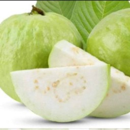 ฝรั่งสด