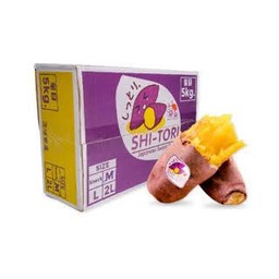 เกาลัดดีดี-ถนนบรรทัดทอง