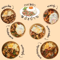 กะเพราหลังบ้าน