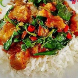 กะเพรา (ราดข้าว)