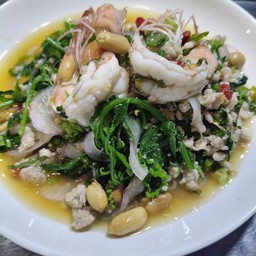 ยำ ผักกูด