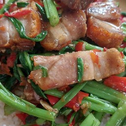 น้องกิโล7