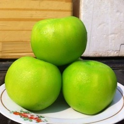 ฝรั่งแช่บ๊วย